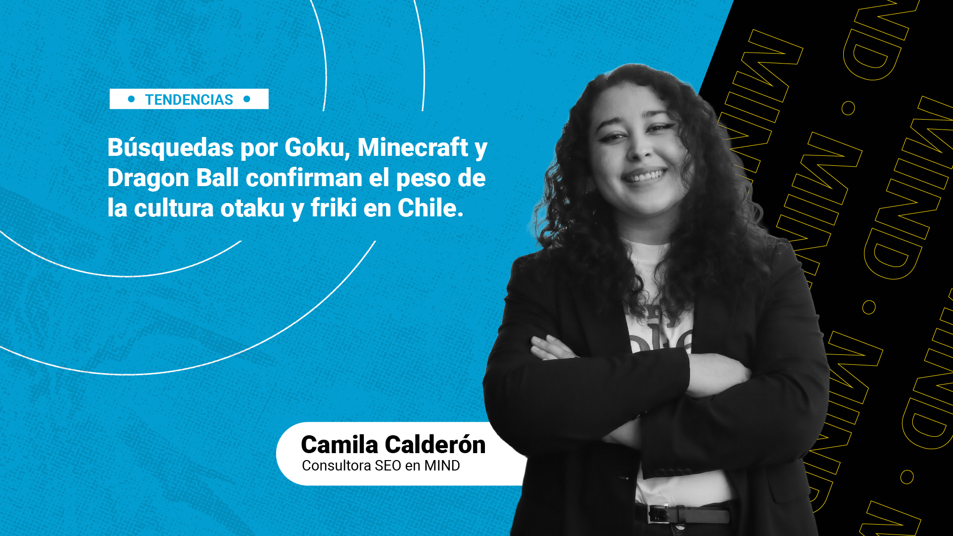 imagen articulo